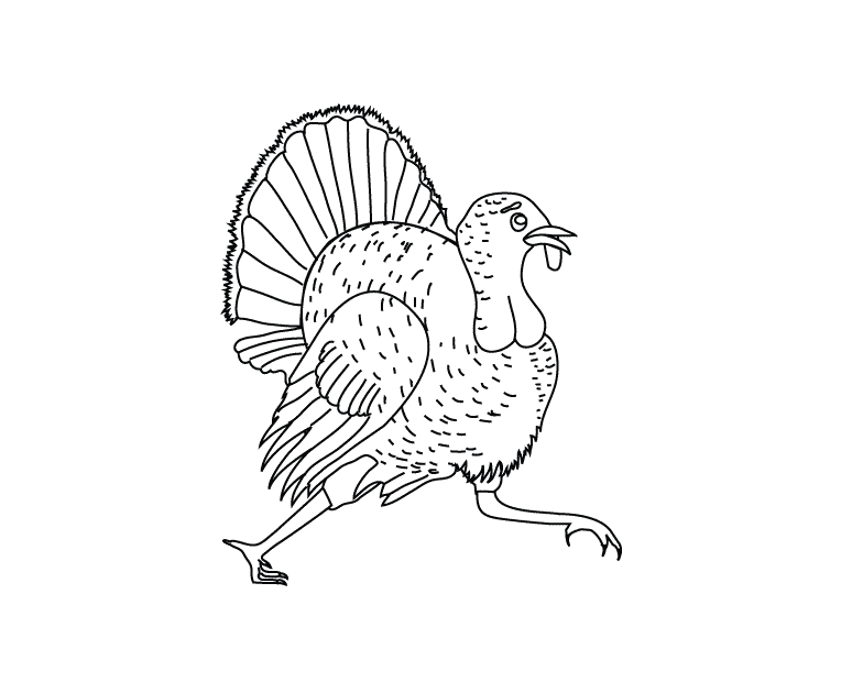 Turkey_coloring page