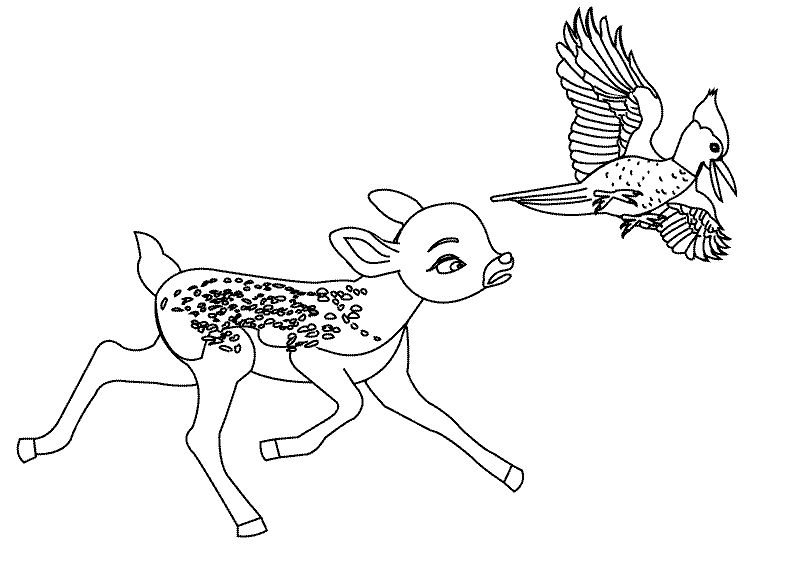 Woodpecker and Deer_coloring page