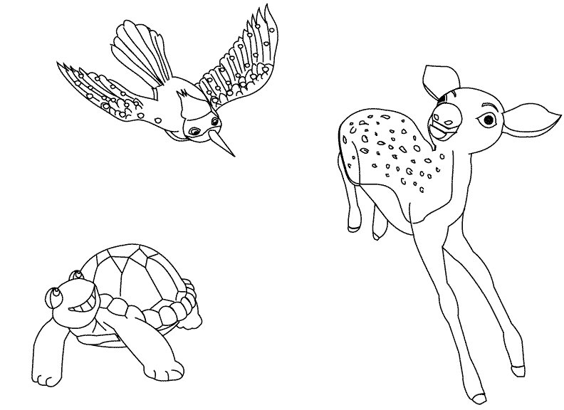 Woodpecker, Deer and Turtle_coloring page