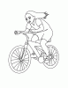 Riding the Bike
