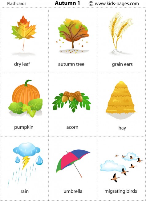 Autumn 1 flashcard