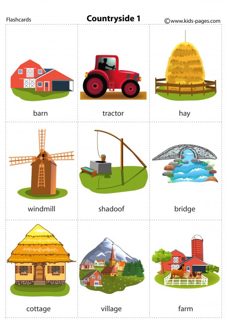 Countryside 1 flashcard