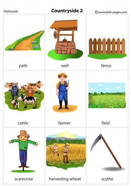 Countryside 2 flashcard