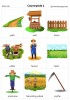 Countryside 2 flashcards