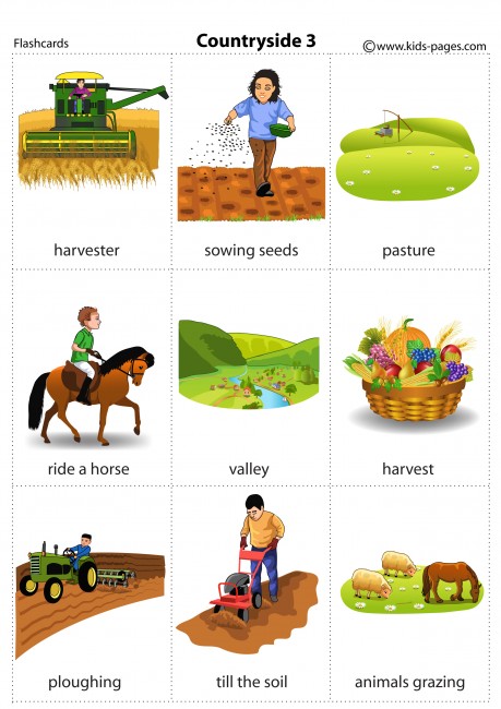 Countryside 3 flashcard