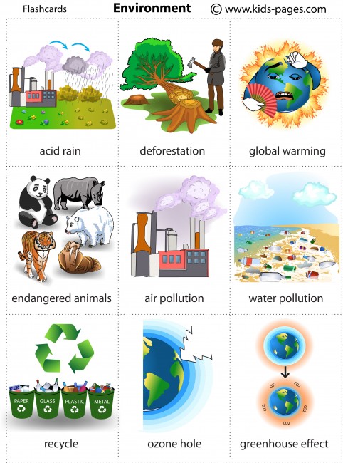 Ecology vocabulary