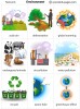 Environment flashcards