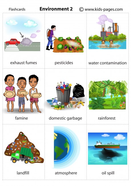 Environment 2 flashcard