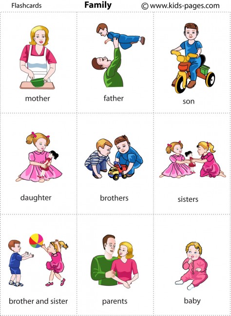 Family 1 flashcard