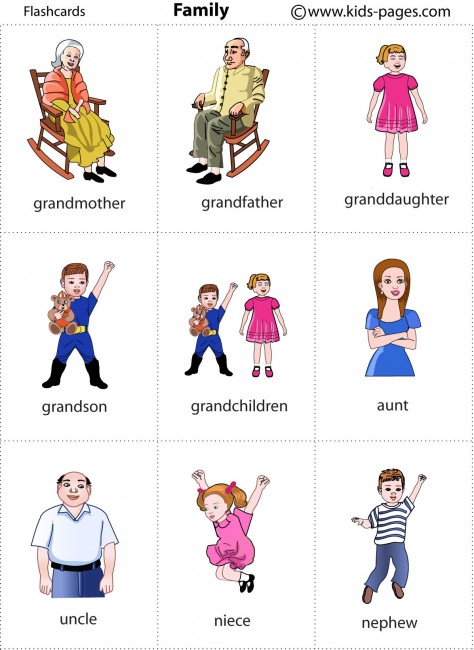 Family 2 flashcard