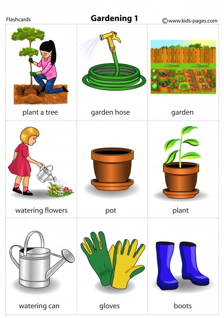 Gardening 1 flashcard