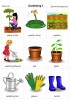 Gardening 1 flashcards