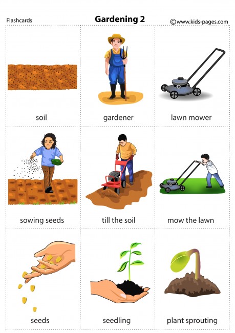 Gardening 2 flashcard