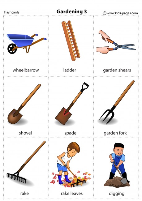 Gardening 3 flashcard