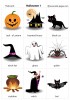 Halloween 1 flashcards