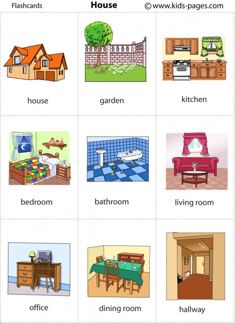 House 1 flashcard