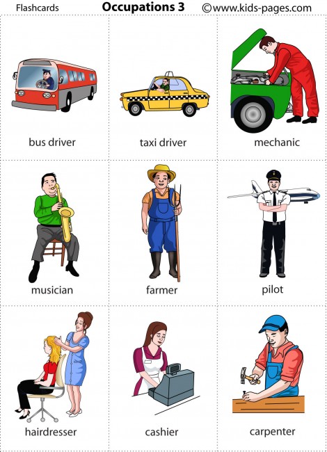 Occupations 3 flashcard