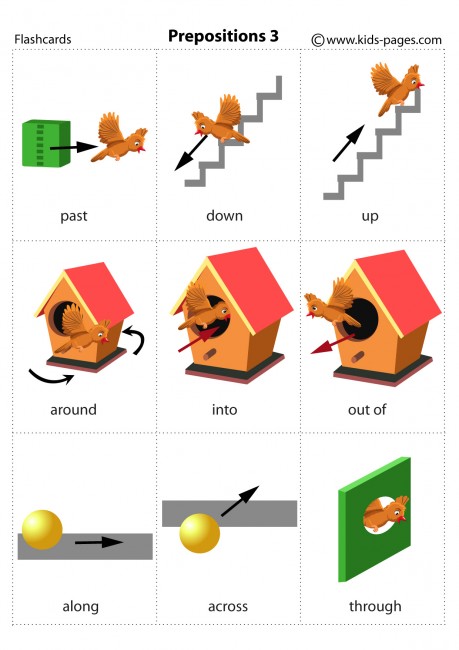 Prepositions 3 flashcard