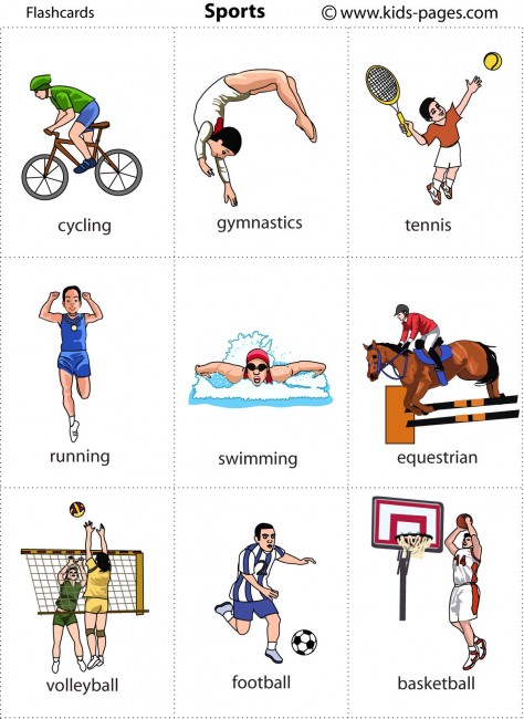 Sports flashcard