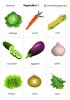 Vegetables 1 flashcards