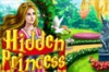 Hidden Princess