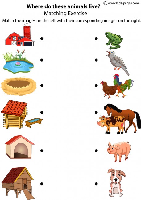 Animals Shelters worksheet Animals Shelters worksheet