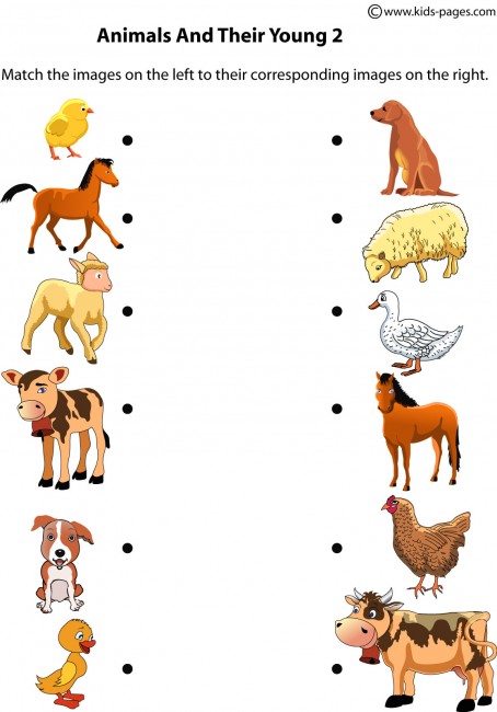 animals-and-their-young-2-worksheet