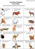 Animals Facts