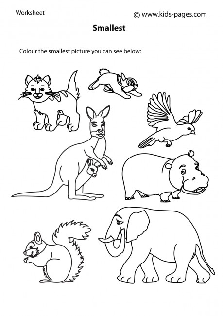 Big and Small Worksheet: Animals