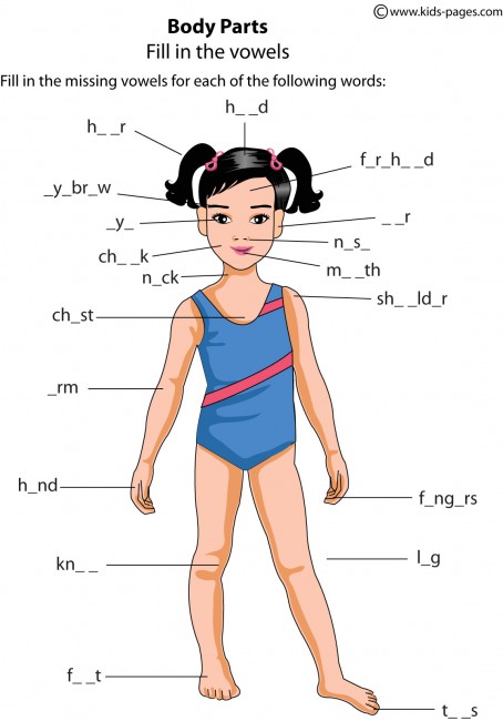 body-parts-worksheet