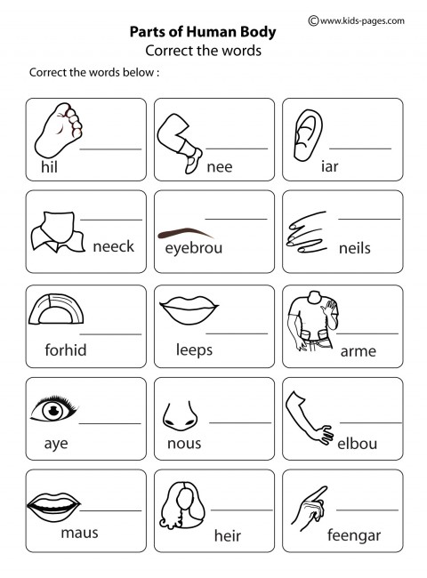 Английские слова голова. Части тела Worksheets. Части тела Worksheets for Kids. Bodyparts Worksheets for Kids. Body Words for Kids.