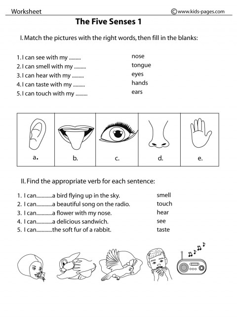 The Five Senses 1 b&w worksheet