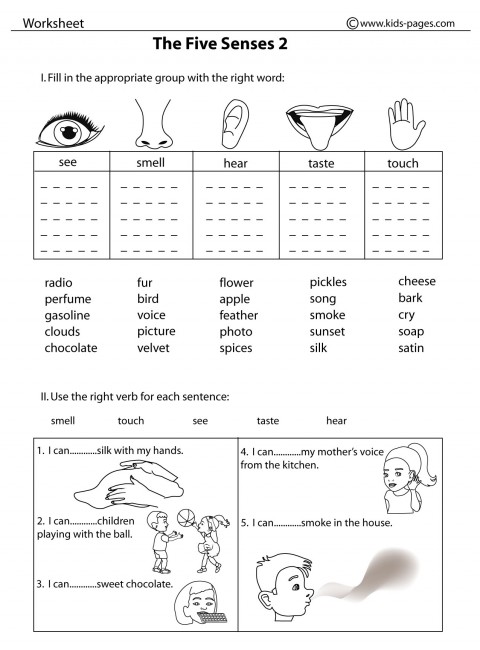 the five senses 2 b w worksheet