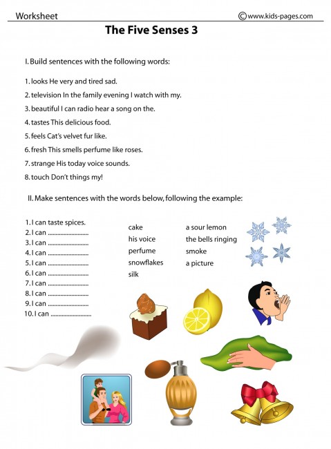 the-five-senses-3-worksheet