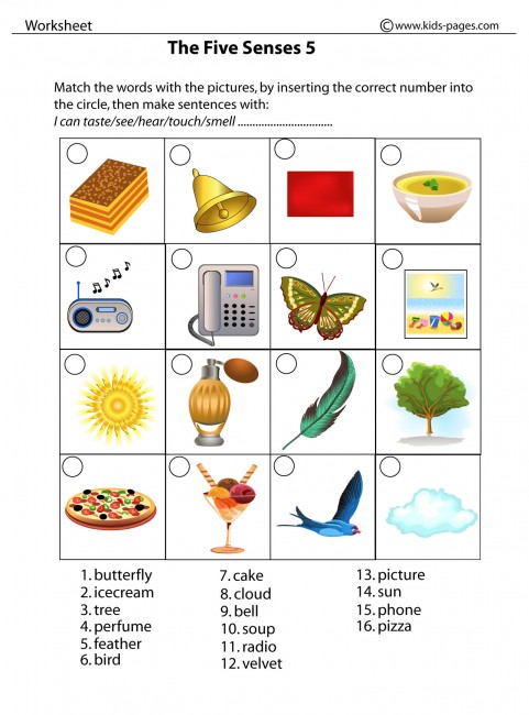 the-five-senses-5-worksheet