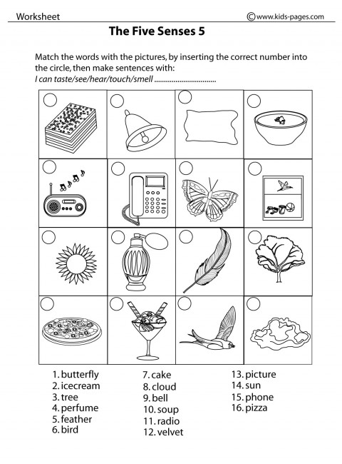 The Five Senses 5 b&w worksheet