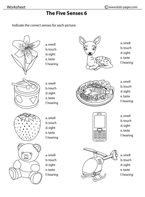 the five senses coloring pages