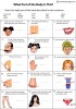 Body Parts Descriptions