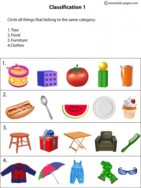 classification1 worksheet