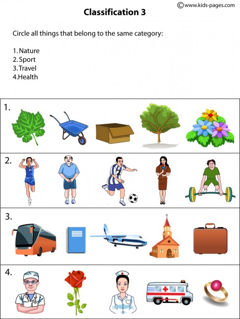 classification3 worksheet