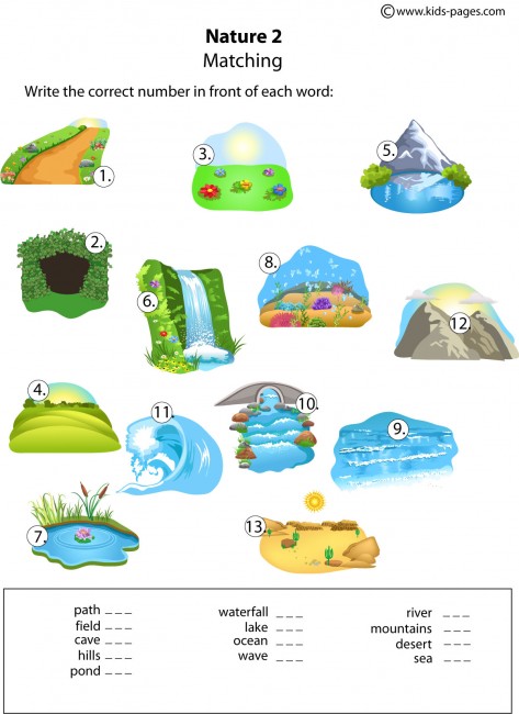 Nature Matching 2 worksheet