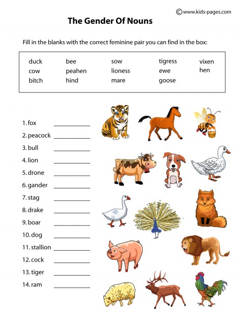 nouns-gender-animals-worksheet