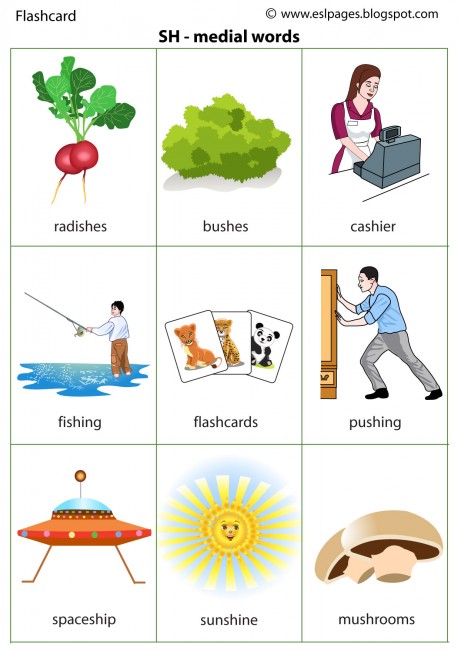 SH - medial worksheet