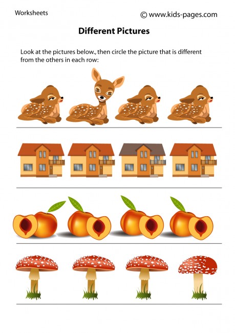 Same differently. Same different picture for Kids. Same or different. Irish Spanish same but different.